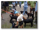 cimg6319.jpg: Die Kinder freuen sich ber "ihre Hundekinder".